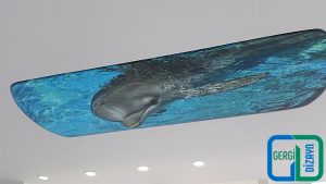 3D Gergi Tavan Modelleri