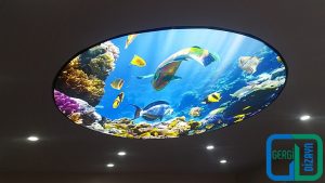Akvaryum Gergi Tavan Uygulama Denizaltı gergi tavan uygulama