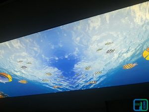 Akvaryum Gergi Tavan Uygulama Denizaltı gergi tavan uygulama