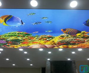 Akvaryum Gergi Tavan Uygulama Denizaltı gergi tavan uygulama