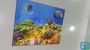 Akvaryum Gergi Tavan Uygulama Denizaltı gergi tavan uygulama