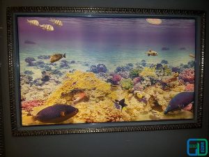 Gergi Duvar Modelleri