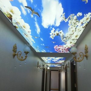 Gergi Tavan Uygulama Çeşitleri
