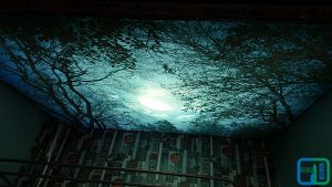 Gergi Tavan Gece Gökyüzü Uygulamaları