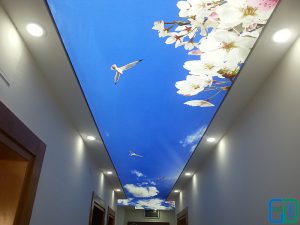 Gökyüzü Güvercin Koridor Gergi Tavan