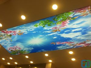 Gökyüzü Gergi Tavan