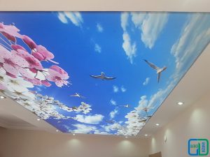 Gökyüzü Gergi Tavan