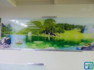 Tezgah Arası Cam Modelleri