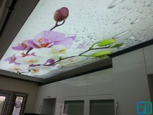 Çiçekli Gergi Tavan Uygulama Modelleri