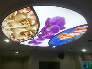 Çiçekli Gergi Tavan Uygulama Modelleri