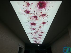 Çiçekli Gergi Tavan Uygulama Modelleri