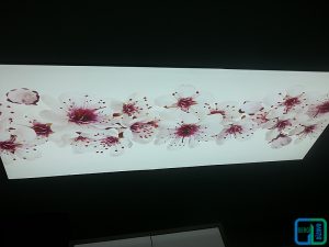 Çiçekli Gergi Tavan Uygulama Modelleri